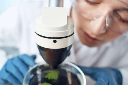 female laboratory assistant chemical solution microscope research biotechnologyの写真素材