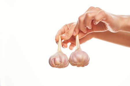 garlic in hands organica vitamins cookingの写真素材