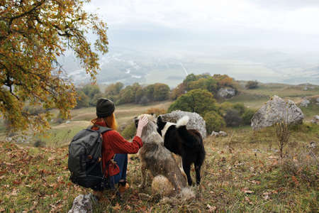 woman tourist with backpack playing with dog on nature travelの写真素材