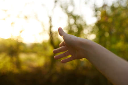 hand nature summer travel lifestyleの写真素材