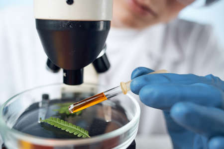 scientist sitting at the table microscope research biotechnology isolated backgroundの写真素材