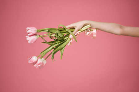 a bouquet of flowers in hand and a gift romance summer pink backgroundの写真素材