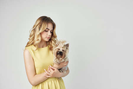 blonde in a yellow dress fun a small dog isolated backgroundの写真素材