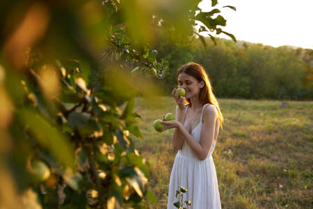 Woman in white dress on nature apples fruits lifestyleの写真素材