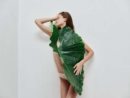 charming woman nude luxury palm leaf exoticの写真素材