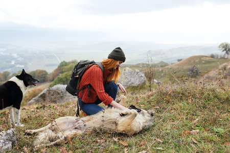 woman travels in the mountains with a dog friendship
