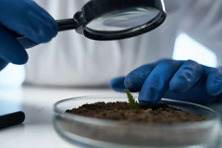 female doctor research biology ecology experiment Studioの写真素材