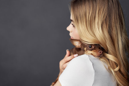 blonde pedigree dog fashion Lifestyle cropped viewの写真素材