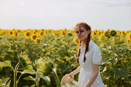 woman with pigtails walks through a field of sunflowers countrysideの写真素材
