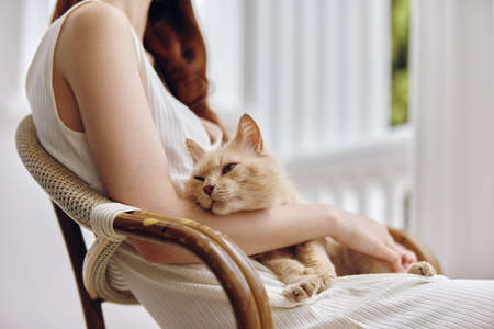 woman hostess with her pet on the terrace outdoor recreation animals