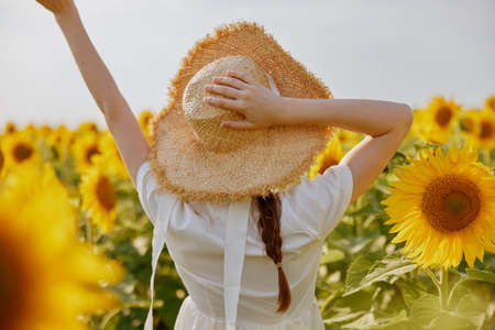 woman with pigtails in a straw hat in a white dress a field of sunflowers agriculture countrysideの写真素材