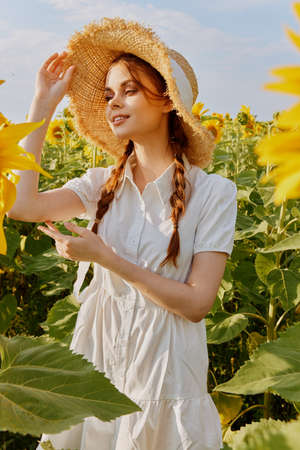 woman portrait in a field of sunflowers lifestyle landscapeの写真素材