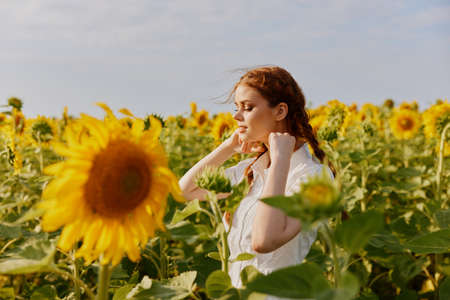 woman with two pigtails In a field with blooming sunflowers landscapeの写真素材