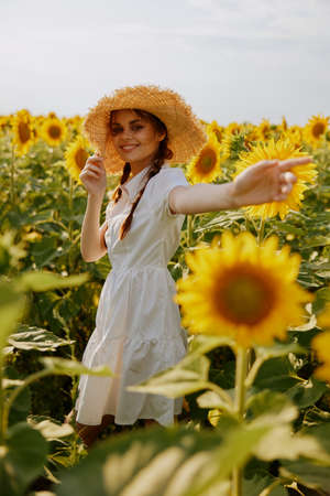 woman with pigtails in a white dress walking on a field of sunflowers Summer timeの写真素材