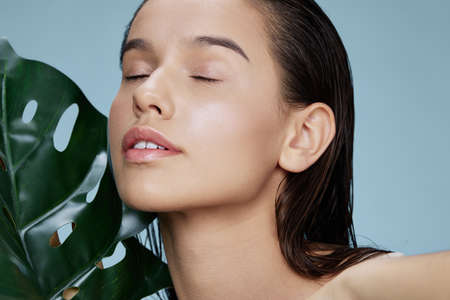 beautiful natural pure skin exotic green leaf close-up Lifestyleの写真素材