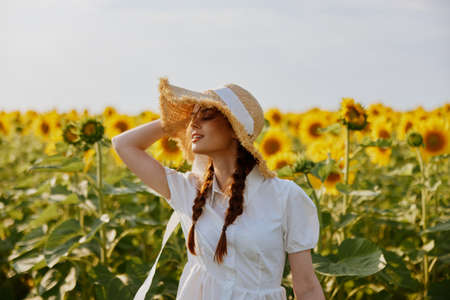 woman with pigtails In a field with blooming sunflowers countrysideの写真素材