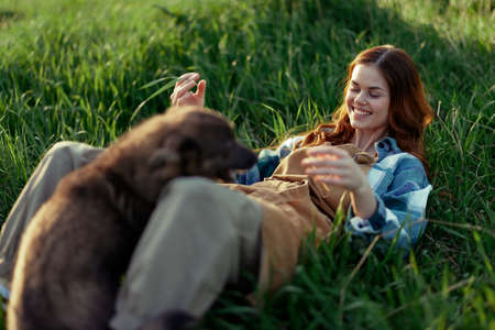 Woman game with her dog in nature smiling and lying on the green grass in the park, happy healthy relationship between mistress and petの写真素材