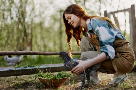 Woman smiles looking at the chicken she holds near the feeder in her hands on the farm, farm labor for raising healthy birds and feeding them organic food in natureの写真素材