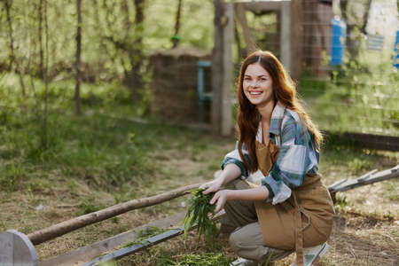 A young woman feeds her chickens on the farm with grass, wearing a simple plaid shirt, pants and apron, and smiling for the camera, caring for the animalsの写真素材
