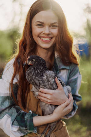 A happy young woman smiles as she looks into the camera and holds a young chicken that lays eggs for her farm in the sunlight. The concept of caring and healthy poultryの写真素材