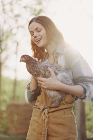 A happy young woman smiles at the camera and holds a young chicken that lays eggs for her farm in the sunlightの写真素材