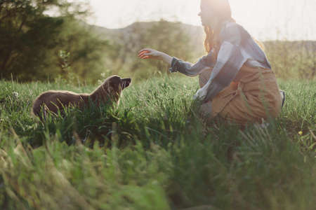 A woman plays a game with her little dog on the green grass in a field in the sunny evening light of nature. The concept of caring for animals and harmony with natureの写真素材