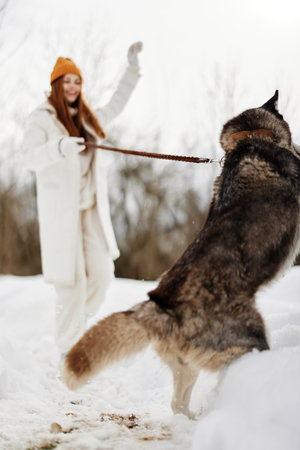 Happy young woman in the snow playing with a dog husky fun friendship Lifestyleの写真素材