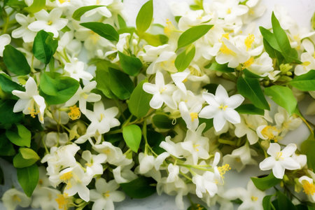 beautiful flowers background nature space blossom gardening floral green spring copy leaf. Generative AI.の素材