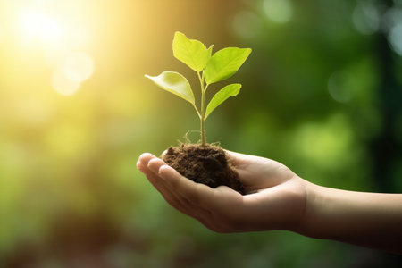 care hand green growth plant ecology nature life leaf agriculture. Generative AI.の素材
