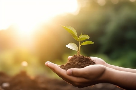 ecology leaf green care hand agriculture growth nature plant life. Generative AI.の素材