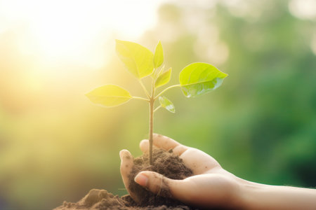 plant care agriculture nature growth hand leaf ecology life green. Generative AI.の素材