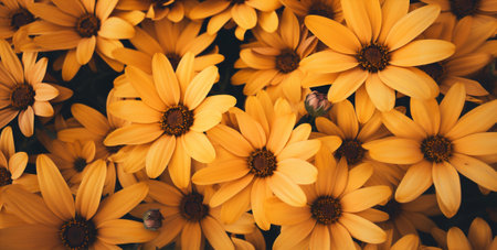 Flower nature gardening yellow groupの素材