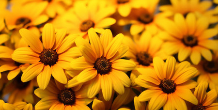 Flower floral pattern yellow gardening group nature green orange plant blossomingの素材