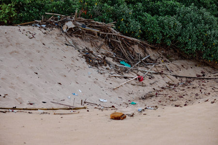 Bottles of plastic and garbage on the sand on the beach near the ocean, garbage catastrophe, garbage recycling environmental problemの写真素材