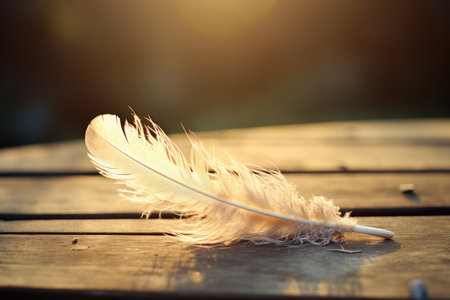 Macro closeup plume bird soft blue white feather plumage wing background natureの素材