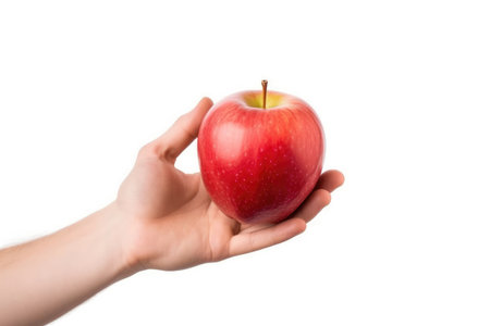 Dieting red ripe fruit hand health fresh food healthy appleの素材