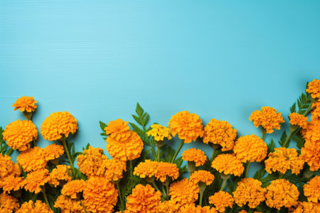 Vibrant beauty botanical flora marigold botany plants yellow nature flowers floral background blooming blossomingの素材