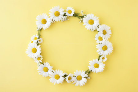 Plant beauty spring daisy flower frame summer nature floral design backgroundの素材