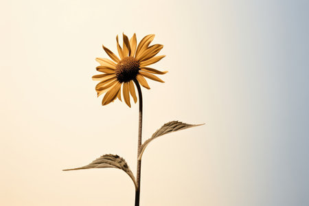 Sunny plant yellow floral nature sky flower green beauty sunflower blossom summer bright backgroundの素材
