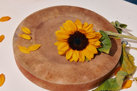 Sunflower Blossoms in a Rustic Wooden Table: A Colorful and Bright Floral Arrangement on a Vintage Backgroundの写真素材