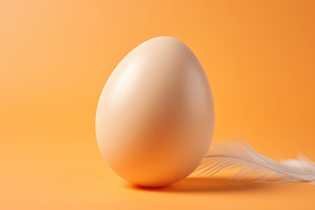 Chicken healthy organic raw eggs white protein easter shell breakfast eggshell ingredient foodの素材