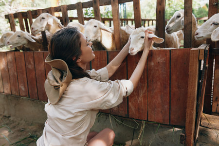 A woman petting a sheep in a pen with a fence around it and a woman in a white shirt petting the sheepの写真素材