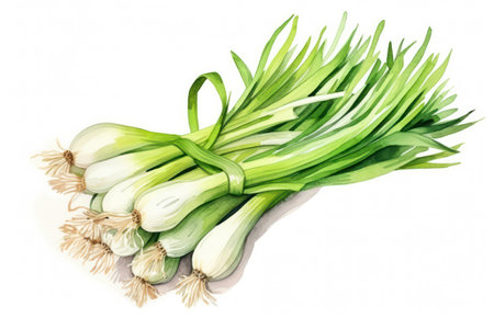 Fresh Green Onion Bunch on Wooden Kitchen Tableの素材