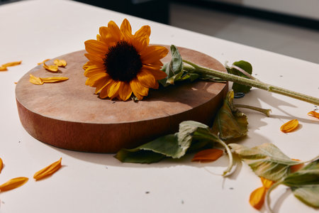 Sunflower Bouquet on Wooden Table: Vibrant Floral Beauty in a Fresh Summer Gardenの写真素材