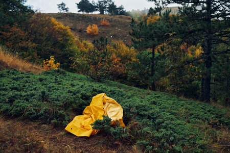 Picturesque Yellow Umbrella in the Enchanting Forest setting, Perfect for Travelers seeking Peace and Beauty in Natureの写真素材