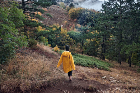 Exploring the Beauty of Nature A Woman in a Yellow Raincoat Walking on a Trail in the Woods with a Mountain in the Backgroundの写真素材