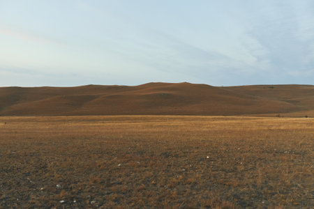 Lush green landscape with grazing cow on grassy field under blue sky on a sunny dayの写真素材