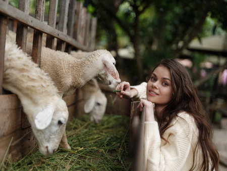 A woman petting a sheep on a farm with a fence in front of herの写真素材