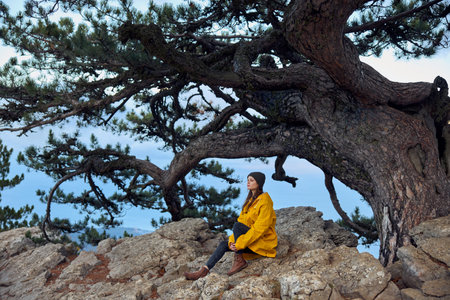A woman enjoying nature on a sunny day, sitting by a pine tree in a yellow coatの写真素材