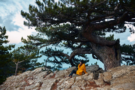 A person wearing a yellow jacket sitting in nature next to a large pine tree in a scenic outdoor settingの写真素材